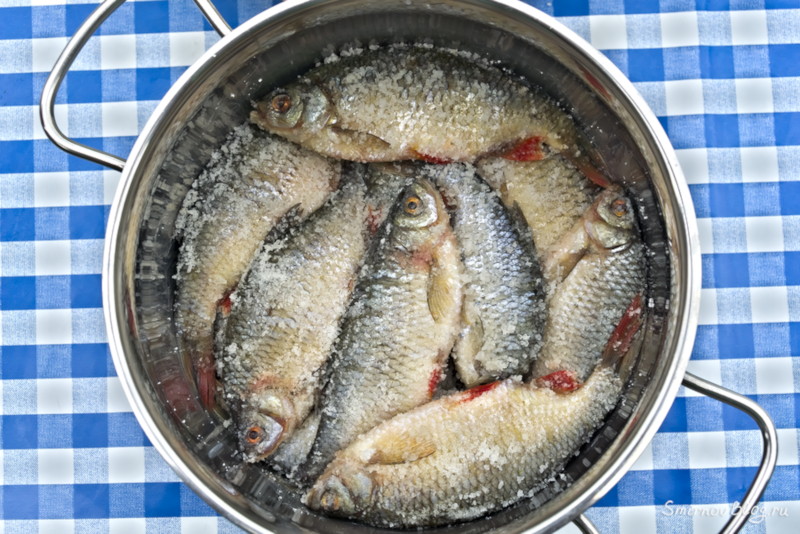 Как приготовить воблу или рецепт вяленой рыбы
