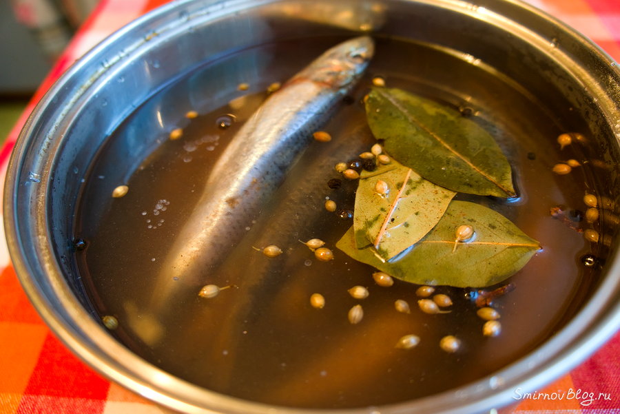 Вкусно солим иваси. Рецепт