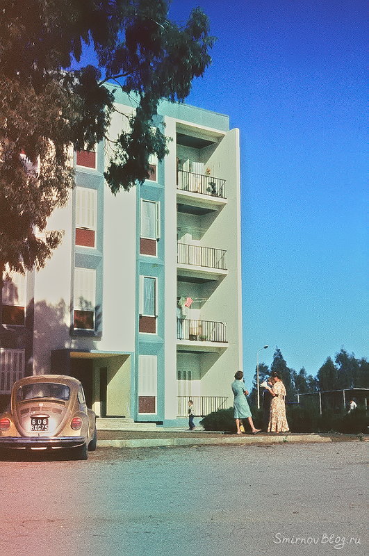 Когда деревья были большими