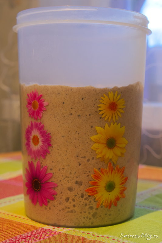 Ржаная закваска 100% влажности