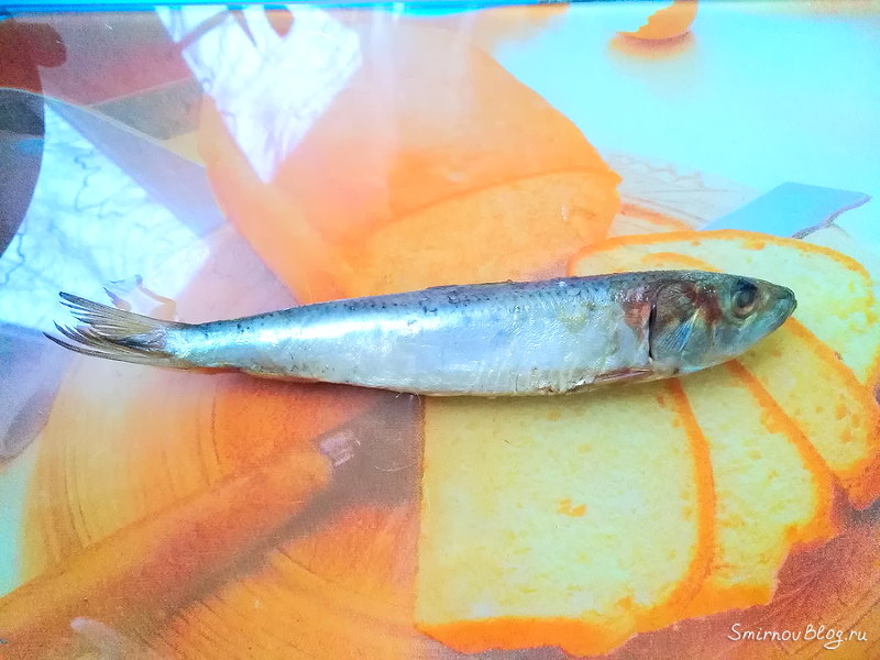 Иваси под шубой. Рецепт Селёдка иваси