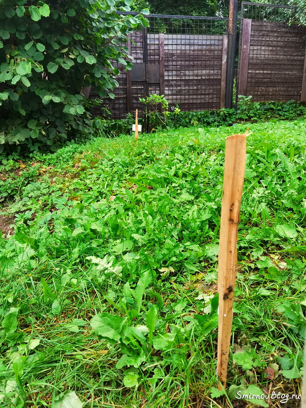 Поиск водопроводной трубы под землёй при помощи локатора (трассоискателя)