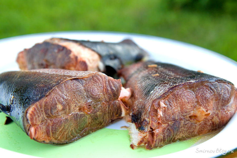 Рыба горячего копчения своими руками