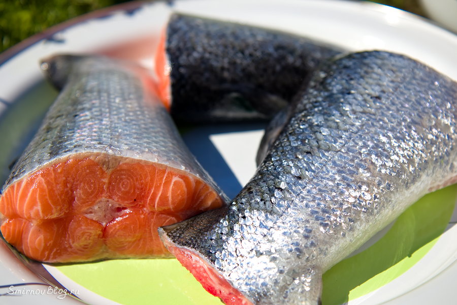 Хвосты мурманского лосося на копчение