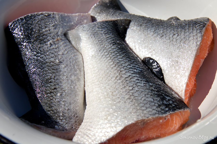 Перед копчением чистим рыбу от чешуи и солим