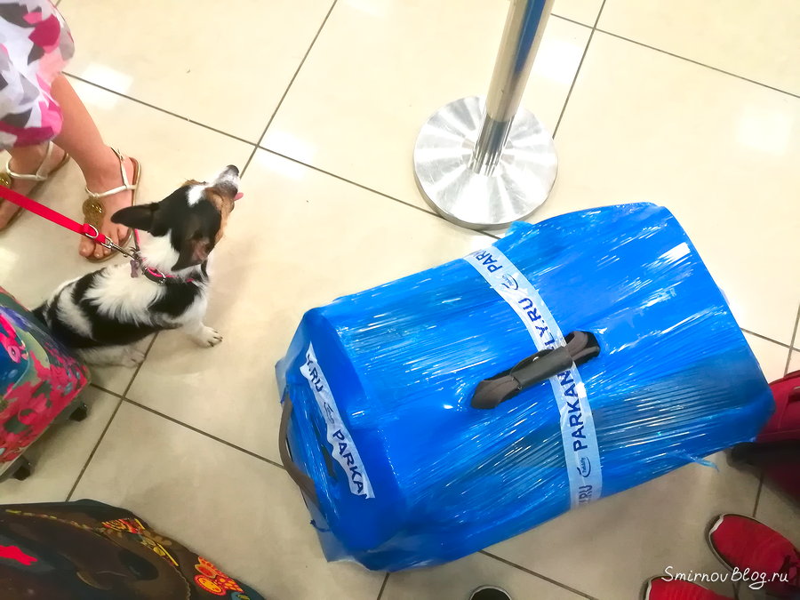 Парковки в московских аэропортах (где оставить машину в аэропорту) Дополнительно на парковке в аэропорту упаковали чемодан