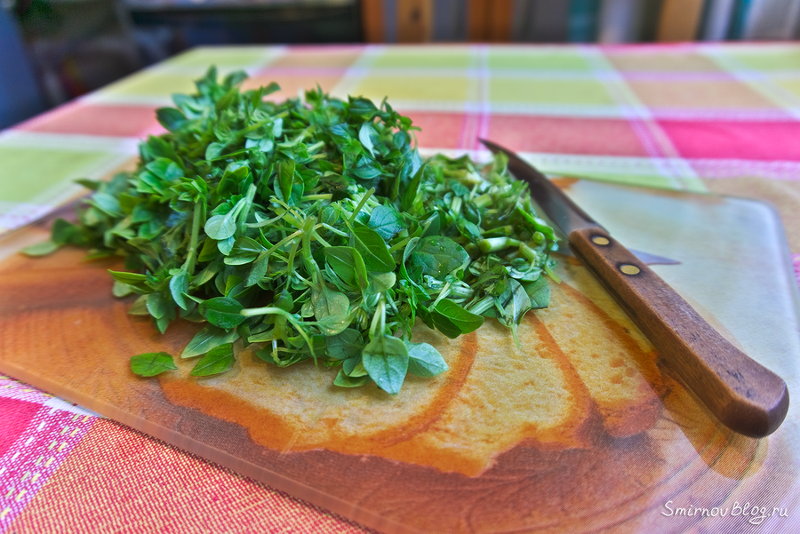 Мой рецепт соуса песто Нарезанный зелёный
базилик для соуса песто