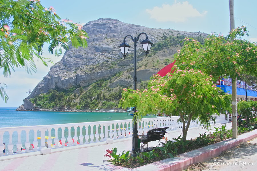 Гора Коба-Кая в Новом Свете и дерево с пушистыми розовыми цветами - Альбиция