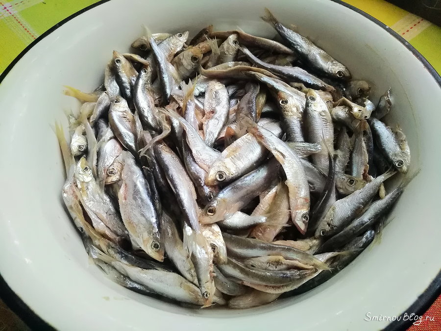 Тюлька жаренная на сковороде Размораживаем тюльку перед тем как обвалять в муке и пожарить