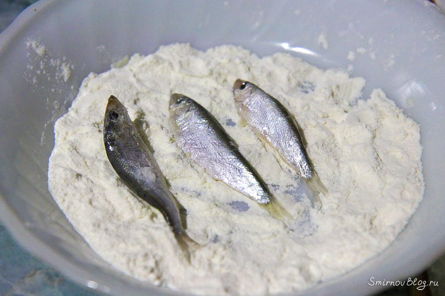 Тюлька жаренная на сковороде Перед тем как пожарить тюльку на сковороде, обваливаем её в кукурузном крахмале или в муке с солью.