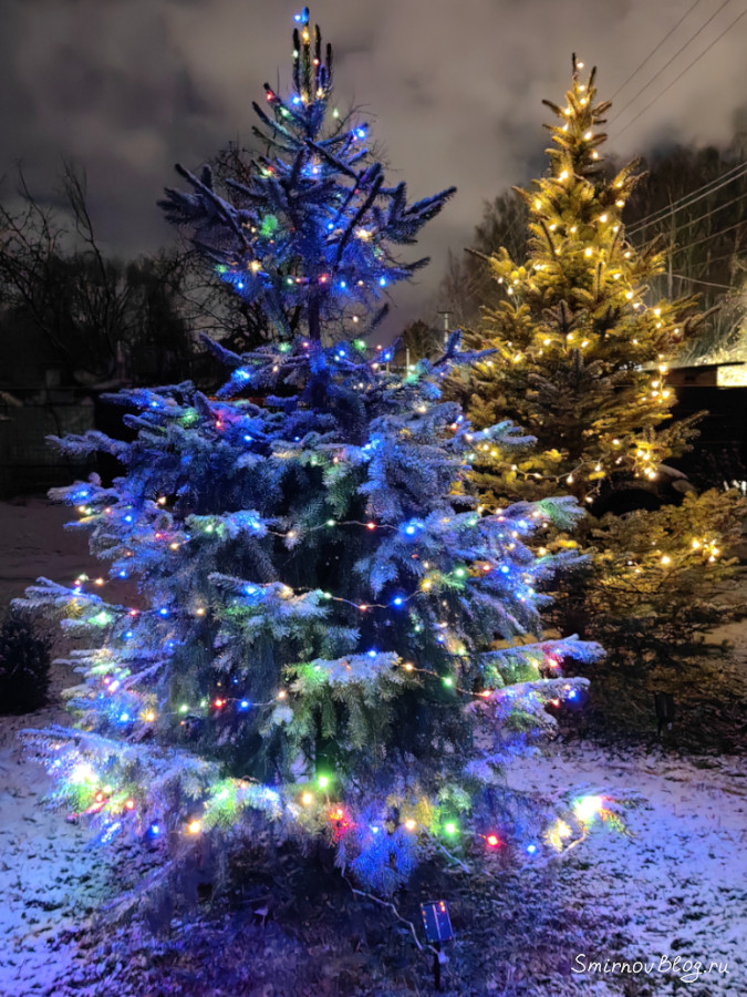 Уличная гирлянда на солнечной батарее на ёлке Ёлки, украшенные уличными гирляндами на солнечных батареях