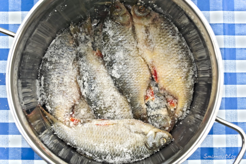 Как приготовить воблу или рецепт вяленой рыбы Готовим тарань в домашних условиях