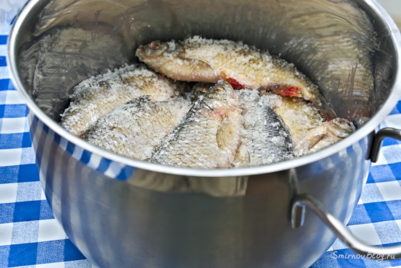 Как приготовить воблу или рецепт вяленой рыбы Засаливаем рыбу чтобы приготовить воблу