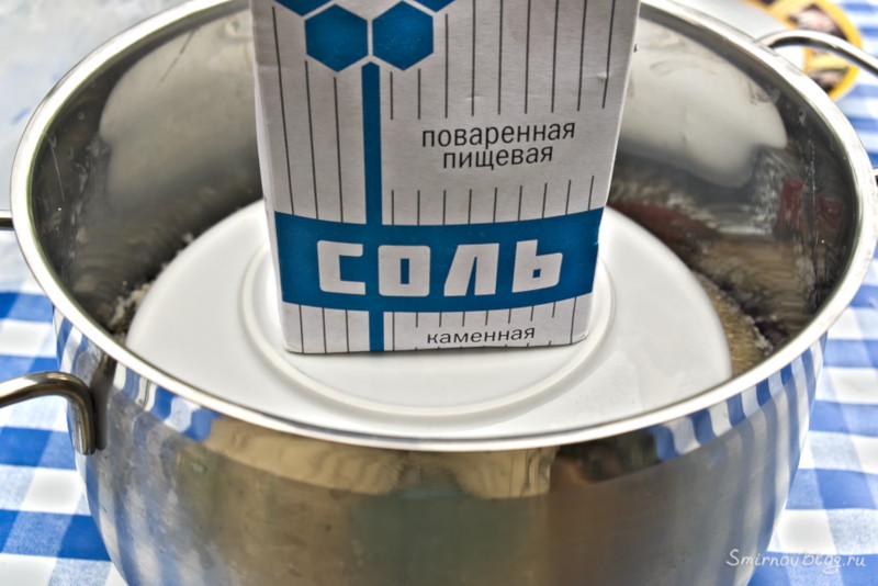 Как приготовить воблу или рецепт вяленой рыбы Готовим вяленую рыбу