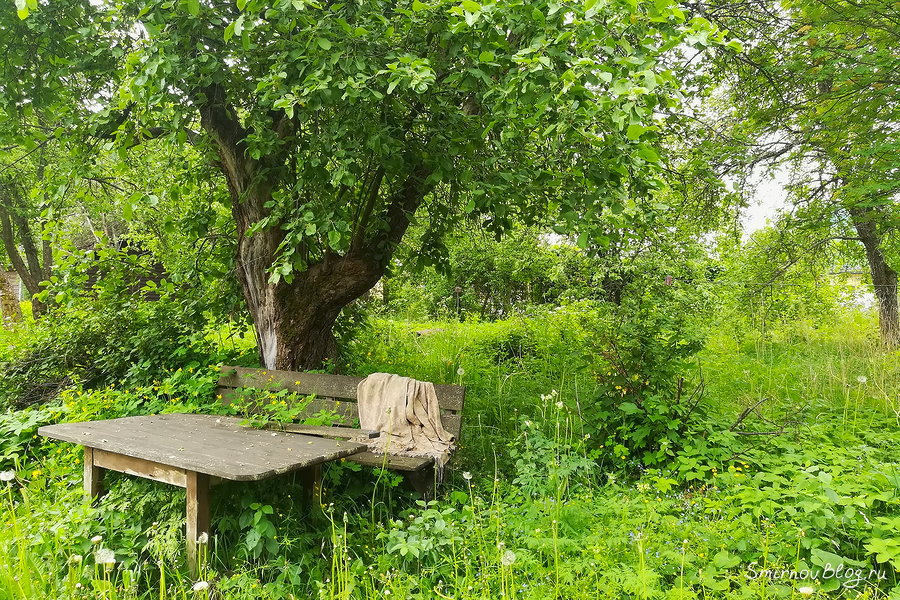 Участок в Подмосковье, утопающий в зелени