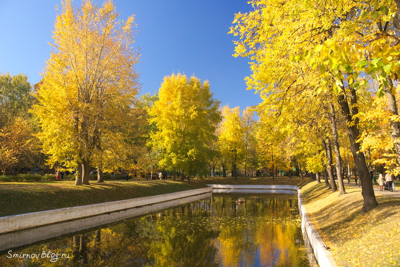 Яркая осенняя Москва. Невероятное бабье лето 2018