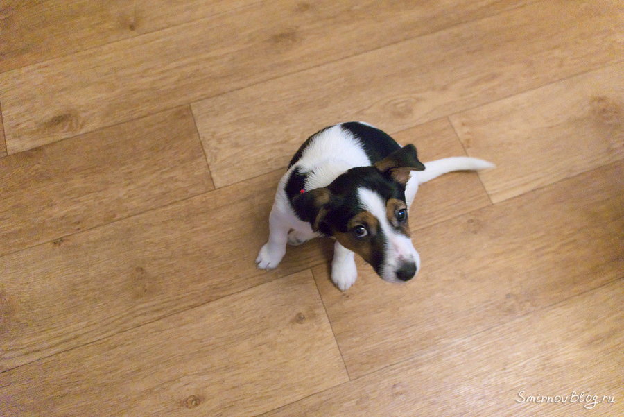 Что-то натворила