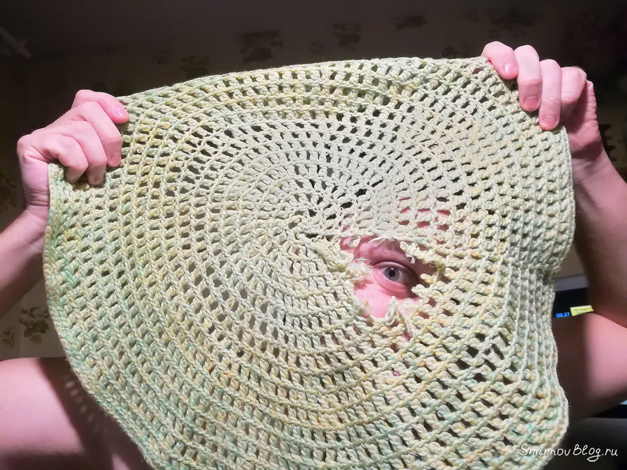 Джек Рассел терьер нашкодил