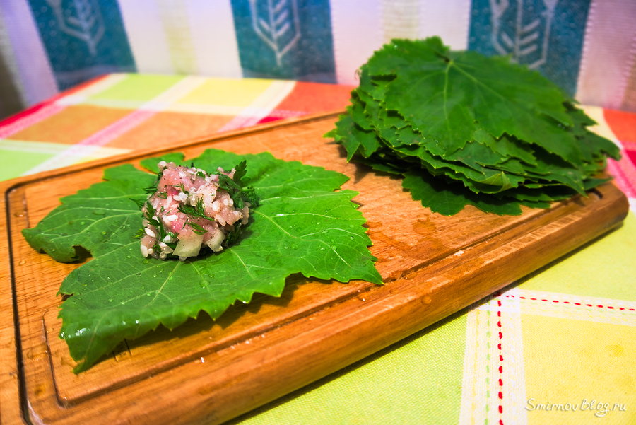 Рецепт долмы с виноградными листьями Фарш на виноградном листе - готовим долму