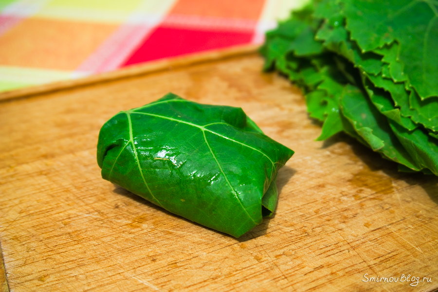 Рецепт долмы с виноградными листьями Долма в виноградных листьях