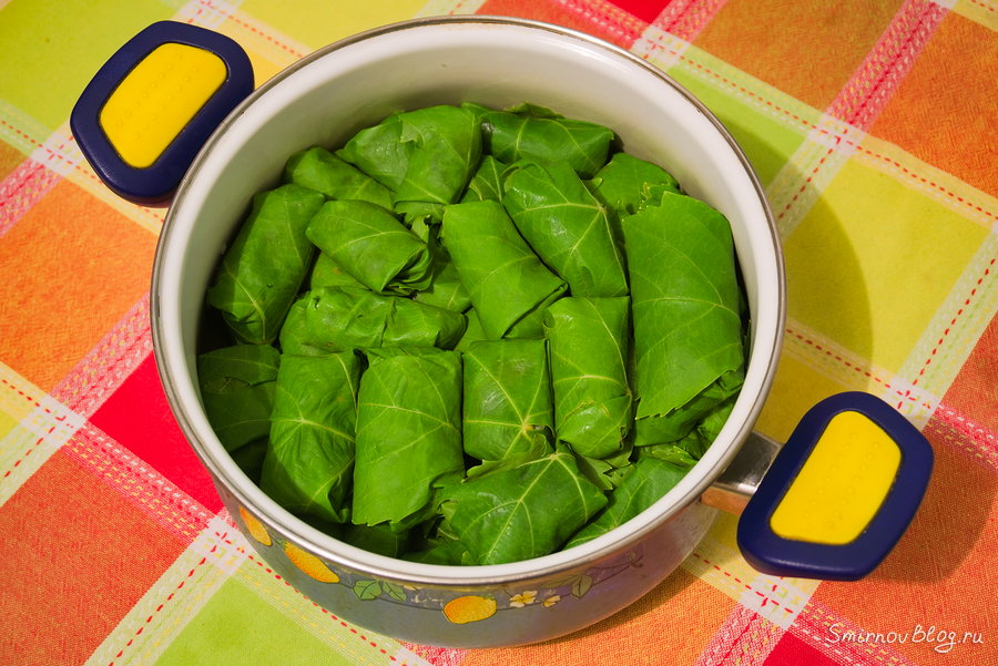 Рецепт долмы с виноградными листьями Долма в кастрюле