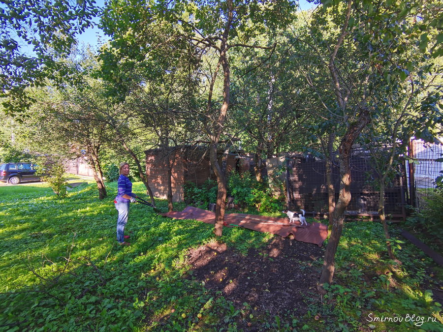 Захламлённый участок