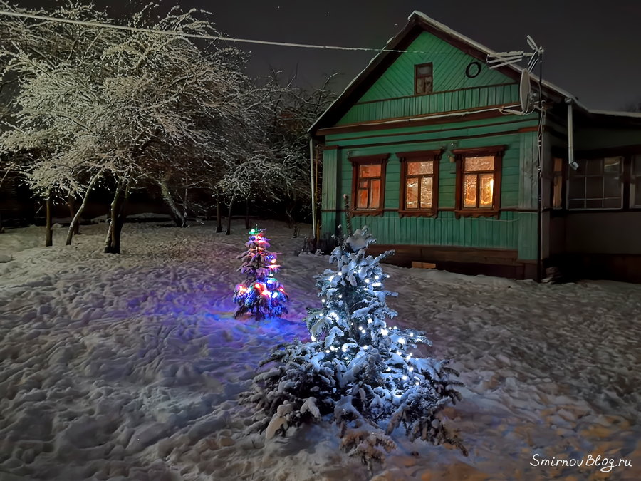 Елки на своем участке, почему нельзя сажать, какие приметы и суеверия?
