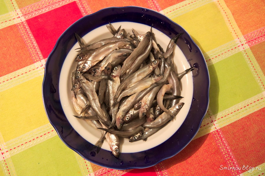 Корюшку моем и обсушиваем бумажным полотенцем, чтобы убрать воду