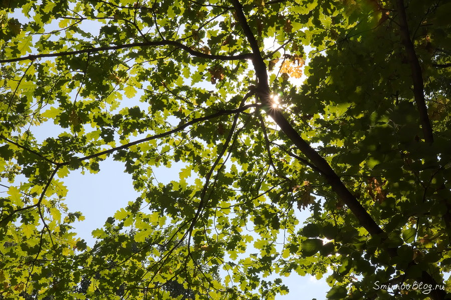 Моё самое короткое видео