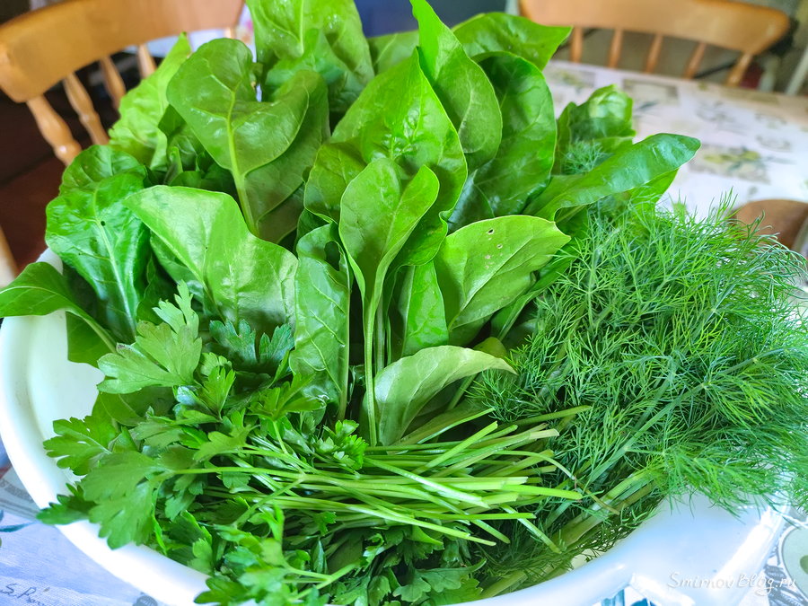 Зелень для пирога со шпинатом и сыром