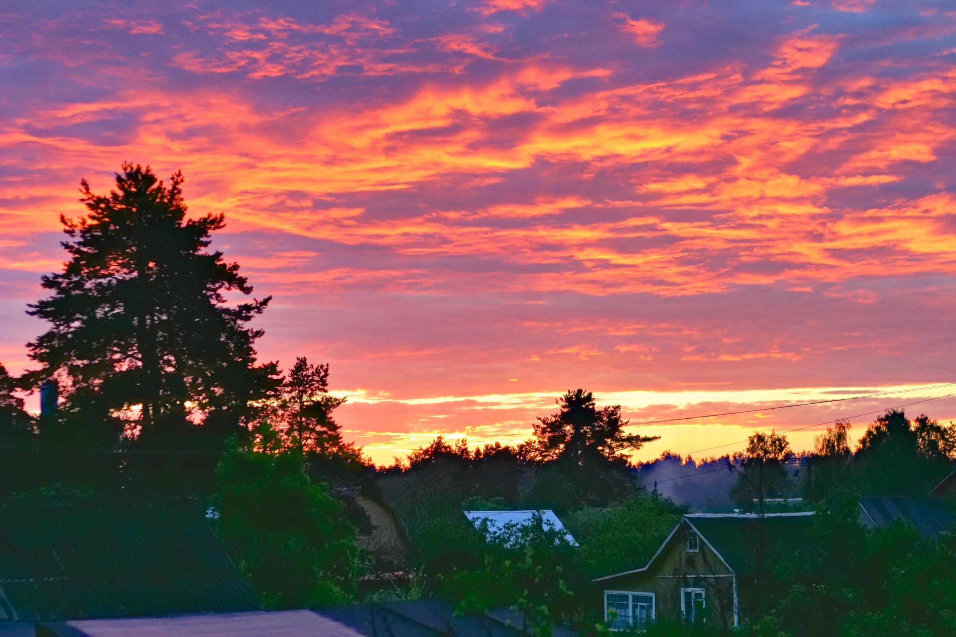 Как, когда и почему поёт соловей