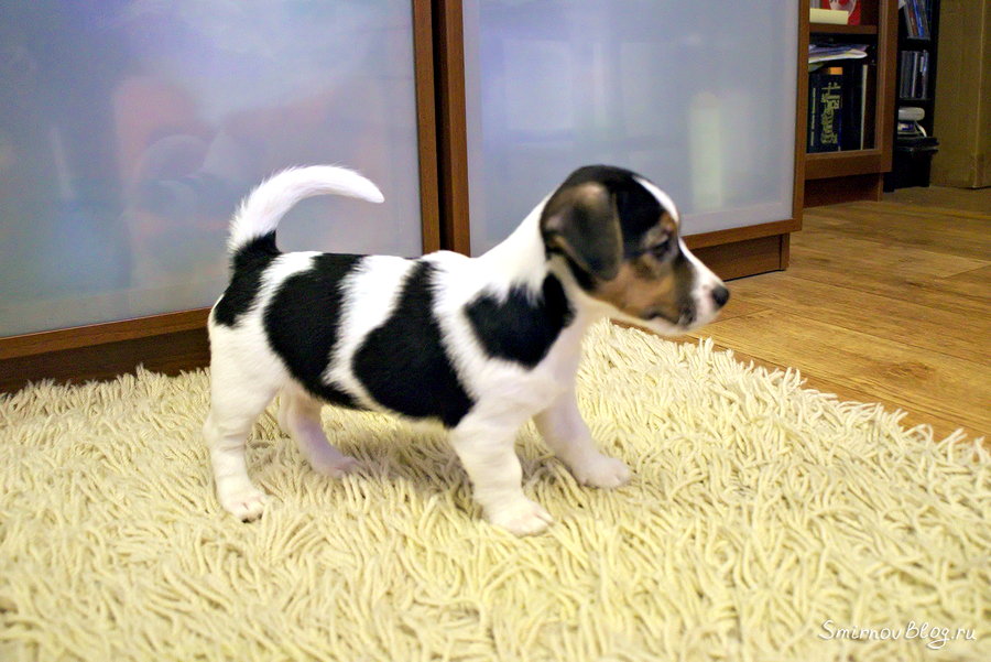 У нас пополнение