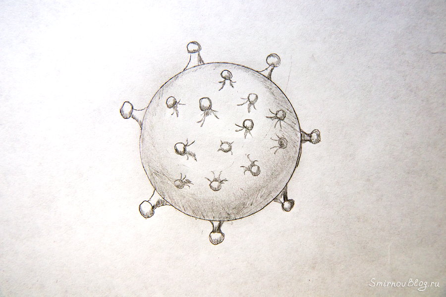 Заболели коронавирусом