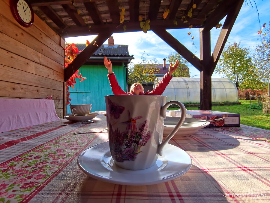 Коронавирус пришёл в наш дом Самоизоизоляция из-за коронавируса