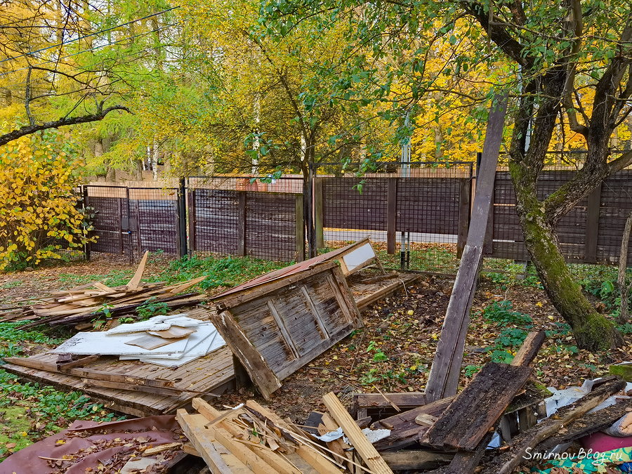 Заболели коронавирусом Во время карантина облагораживаем загородный участок